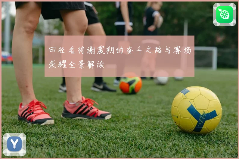 田径名将谢震朔的奋斗之路与赛场荣耀全景解读