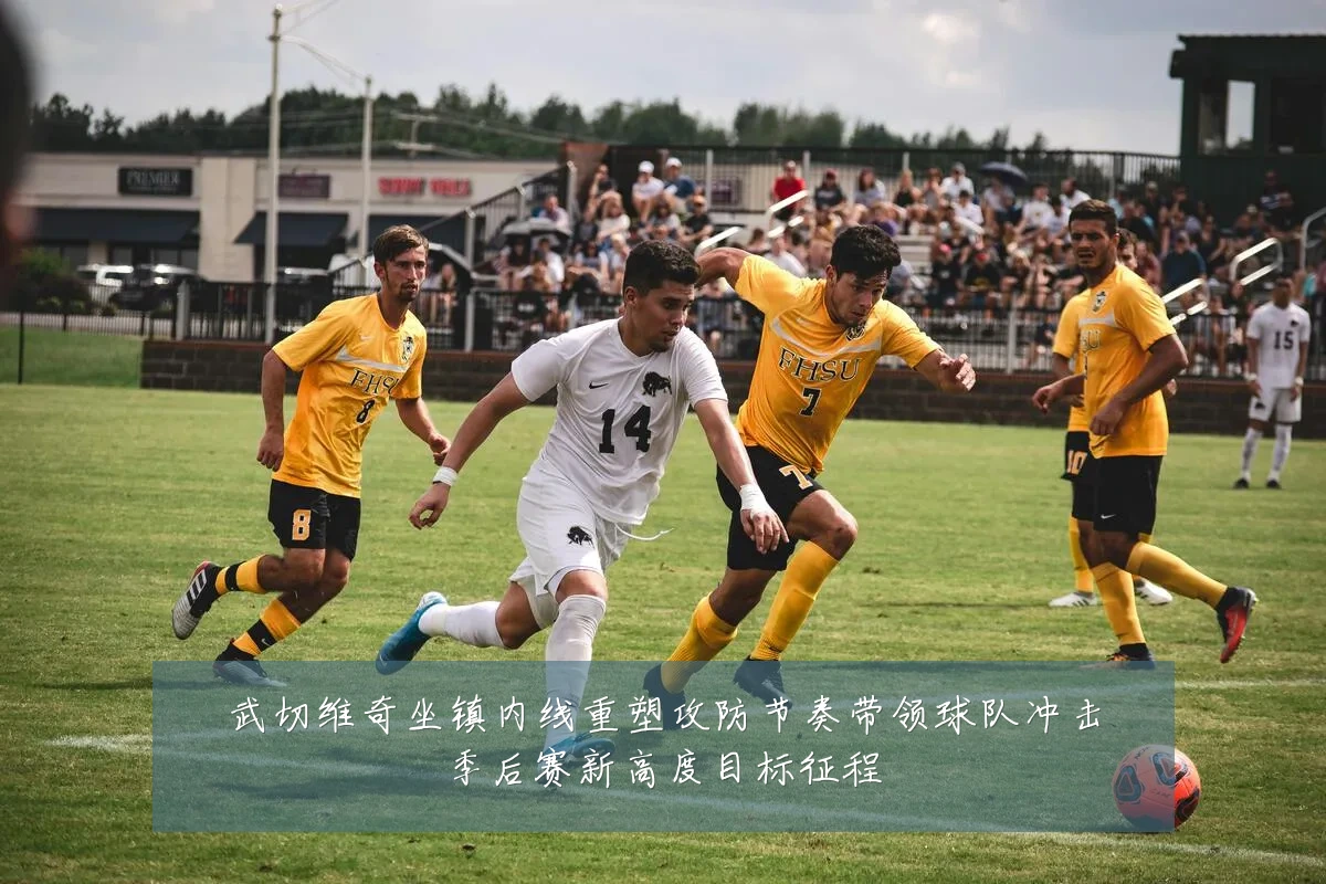 武切维奇坐镇内线重塑攻防节奏带领球队冲击季后赛新高度目标征程